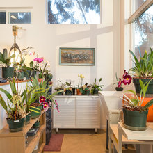 Orchid Pots Materials