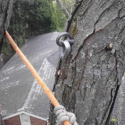 Cabling and Risk Management - Products
