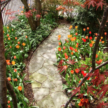 Spring Landscape Bulbs