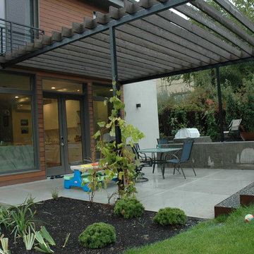 Contemporary Modern Rebuild on 10th Avenue & K Street