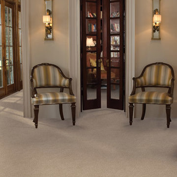 Dabbieri Collection