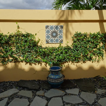 After - Espalier, trained vines on wall