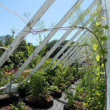 garden - vegetable