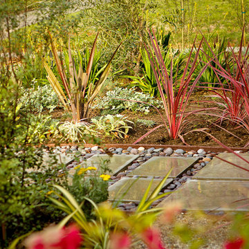 Glendale Musicians Drought Tolerant Retreat