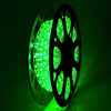 DELight 50' 2-Wire LED Rope Light Outdoor Home Decoration, Green