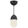 Semmes Black Pendant Light With Frosted Glass, Oval