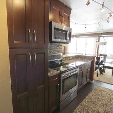Kitchen Renovation, Lakewood, Ohio #1 ~ Waypoint Cabinetry