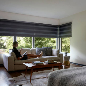 Window Covering & treatments