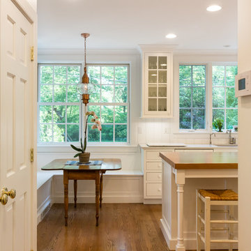 Evanston Kitchen Addition & Renovation