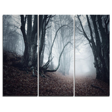 "Mysterious Fairytale Foggy Wood" Photo Wall Art, 3 Panels, 36"x28"