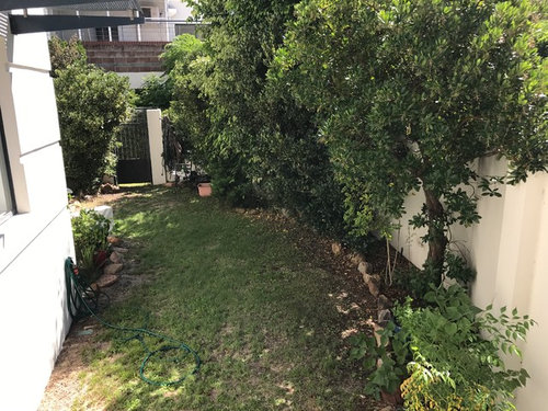 Native Plants Low Maintenance Garden In Perth Cheers Excited To See What You Guys Come Up With