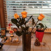 Deborah Penn Toombs's photo