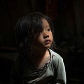 Trẩu Lãos foto