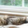 terri_eldreth