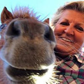 Deb Greiners foto