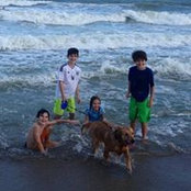 Michael Petrocci's photo