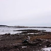 Clare MacKenzie's photo