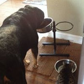 Judy Kline's photo