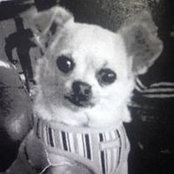 Ben Rounsefell's photo