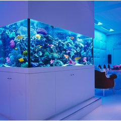 Okeanos Custom Aquariums, Fish Tanks, and Ponds