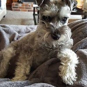 Nichol Freeman's photo