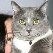 Tami Sauers's photo