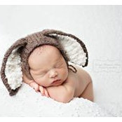 Suzanne Rossignol's photo