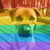 Foto de Kate Ackerson
