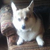Celeste Rosenberg's photo