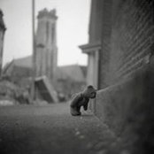 Marcin Wujek's photo