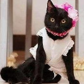 Stela Tsankova's photo