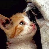 Margot Joy's photo