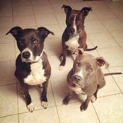 Michelle OLeprechaun's photo