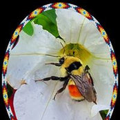 Helen Yonge's photo
