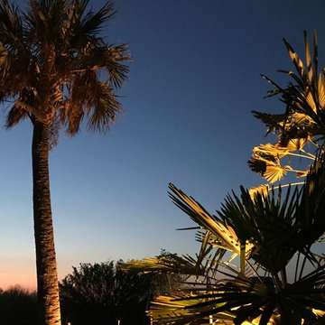 Dallas Landscape Lighting-Project Margaritaville