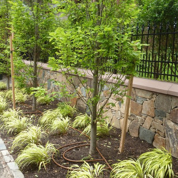 City Garden