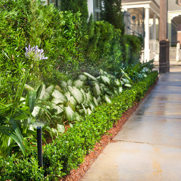 GARDEN DISTRICT PROJECT