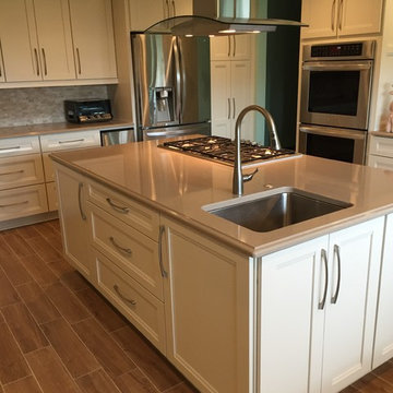 Large Mount Prospect Remodel