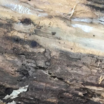 Termite repairs