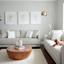 Living Rooms