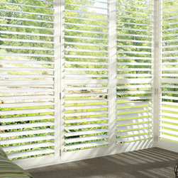 Hunter Douglas Shutters - Windows