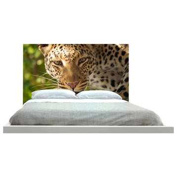 "Leopard" Headboard