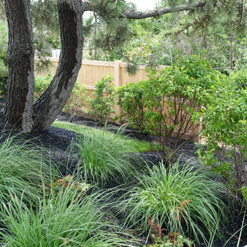 Modern Oceanfront Landscape - Cohasset