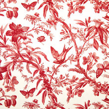 TOILE!