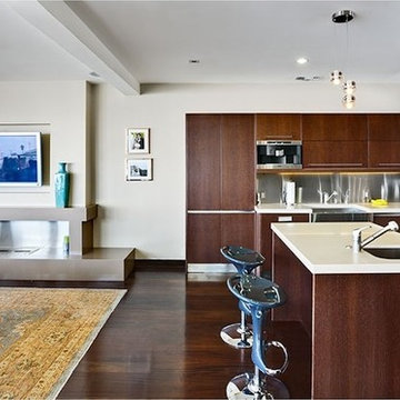 Contemporary Kitchens