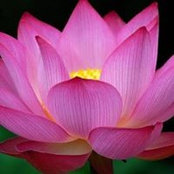 Denise Juarez's photo