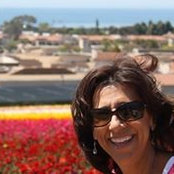 Amy Safdeye's photo