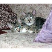 Anne Greenhalgh's photo