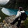 nisha_yadav82