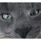 Heather Etter's photo